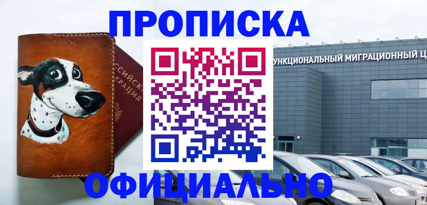 временная прописка в Елизово